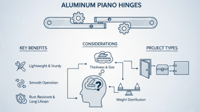 Best Piano Hinge Aluminum Options for Your Projects?