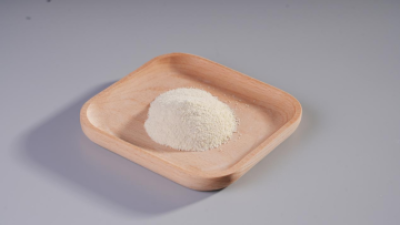 Lacticaseibacillus Paracasei G15 Probiotics Powder (1).png