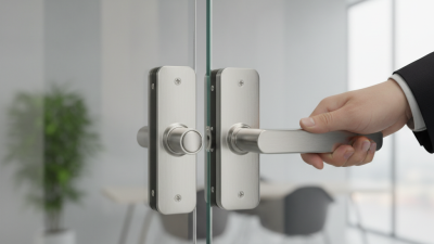 How to Choose the Best Office Zinc Alloy Glass Door Lock?
