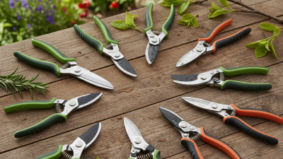 The 10 Best Garden Scissors for Easy Pruning and Cutting?