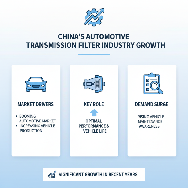 High Quality China Automotive Transmission Filter Factory Overview?