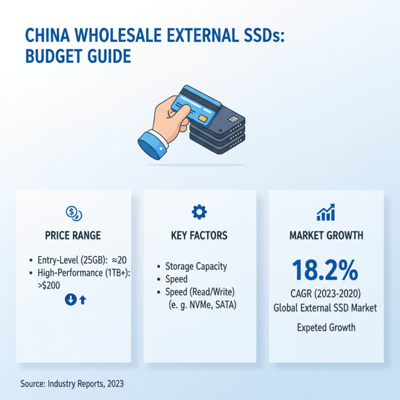 Top 10 Best Wholesale China External Hard Disk SSD Options for Your Needs?