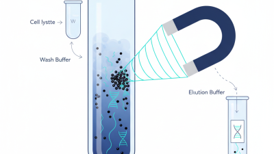 How to Use Magnetic Bead Technology for DNA Extraction?