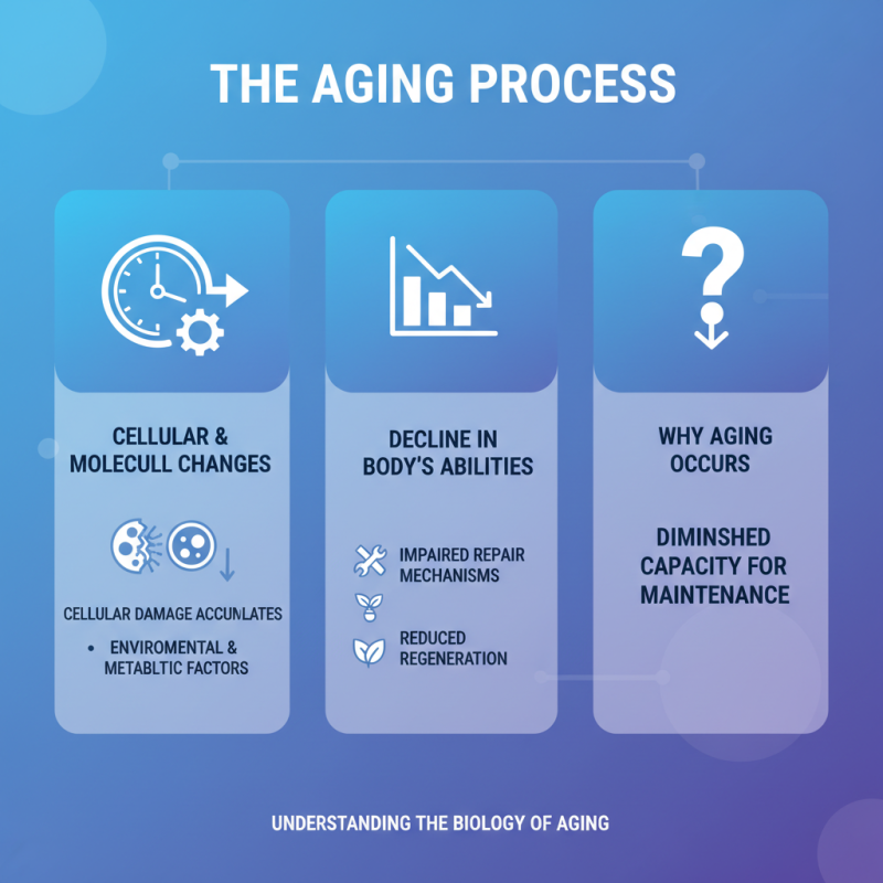 What is NMN Reverse Aging and How Does it Work?