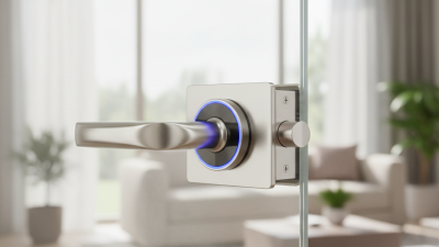 How to Choose a Sus 304 Glass Handle Lock for Your Home?