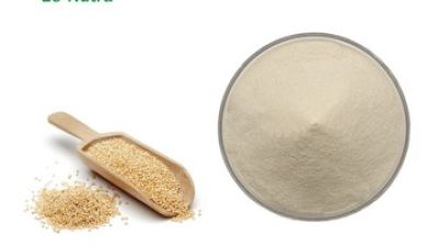 14.1-Hydrolyzed Quinoa Protein.jpg