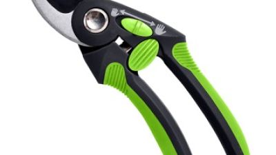Best Cordless Pruner for Your Garden Needs in 2026?