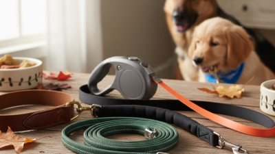 Top Pet Leash Options for 2026 What to Look For?