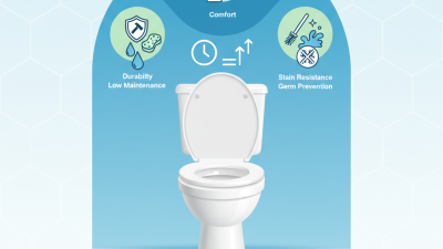 What are the Benefits of Using a Ceramic Seat for Toilets?