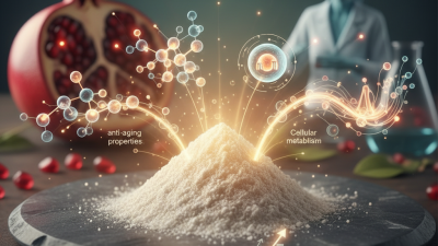 What is Urolithin A Powder and its Health Benefits?