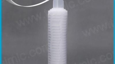 PES Membrane Pleated Filter Cartridge.jpg