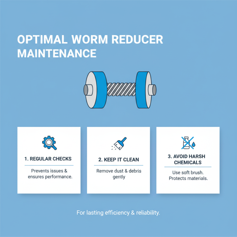 What is a Worm Reductor and How Does It Work?