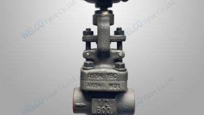 Forged steel globe valve.jpg