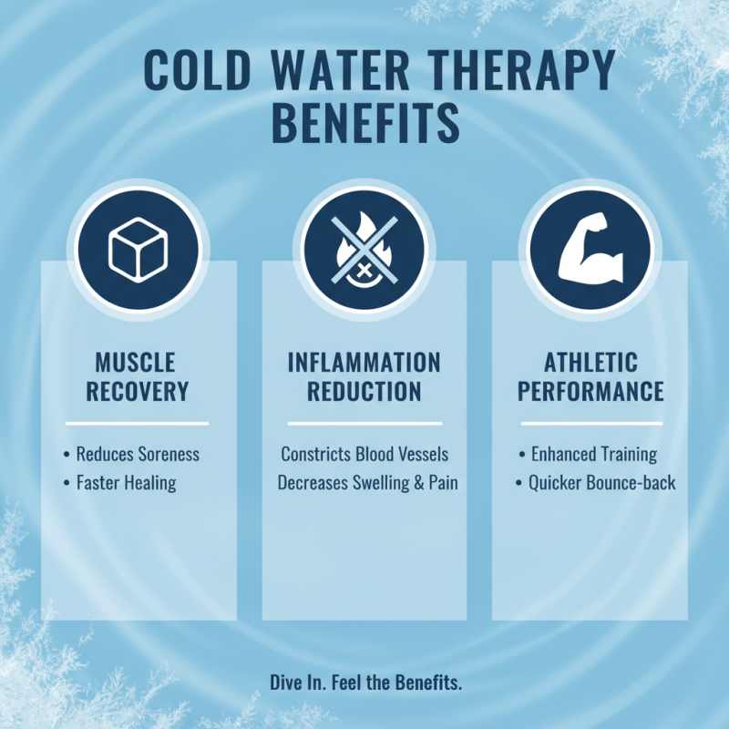 What are the Benefits of Stainless Cold Plunge Tanks?