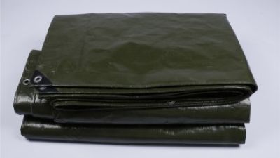 Green Silver Tarpaulin (1).JPG