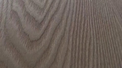 2026 Top Plywood Cladding Designs and Trends to Watch?
