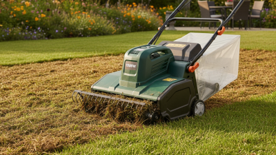 How to Choose the Best 1500w 2 In 1 Scarifier And Rake?