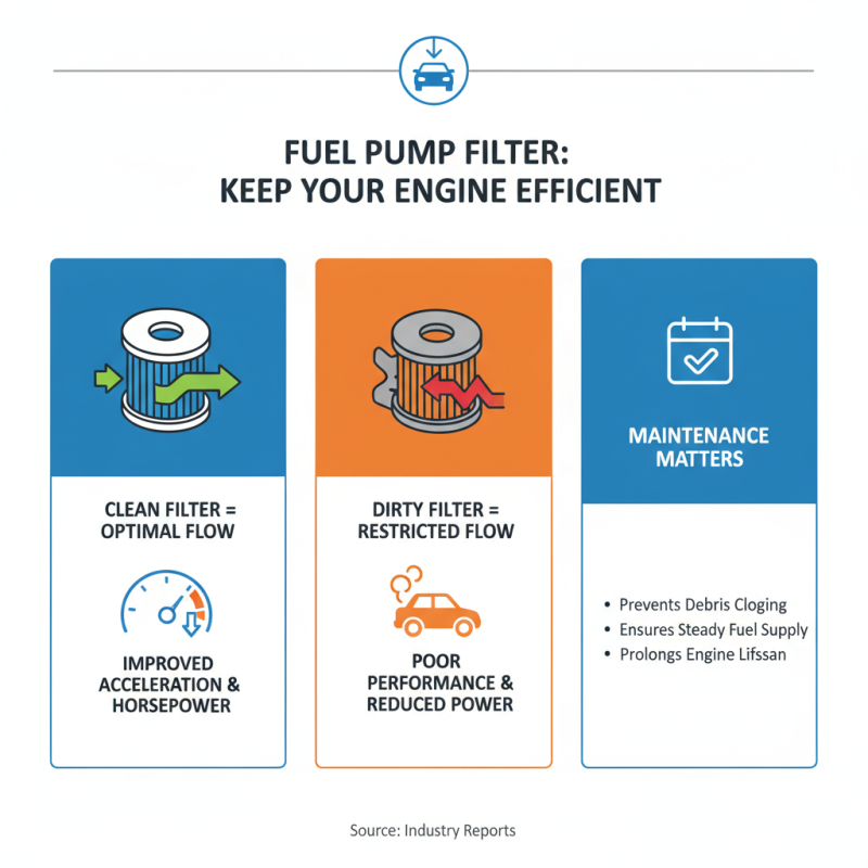 2026 Best Fuel Pump Filter Options for Your Vehicle?