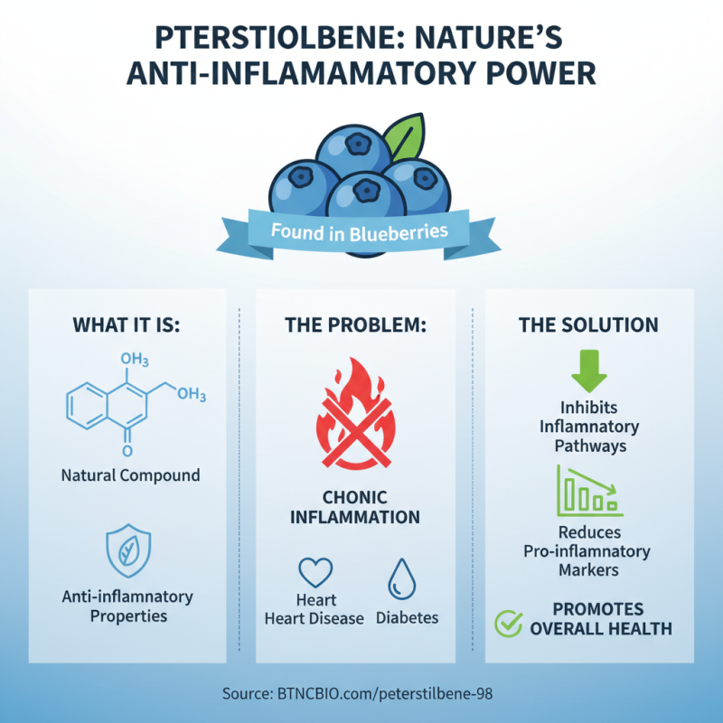 Top 10 Benefits of Pterostilbene Powder for Health and Wellness?