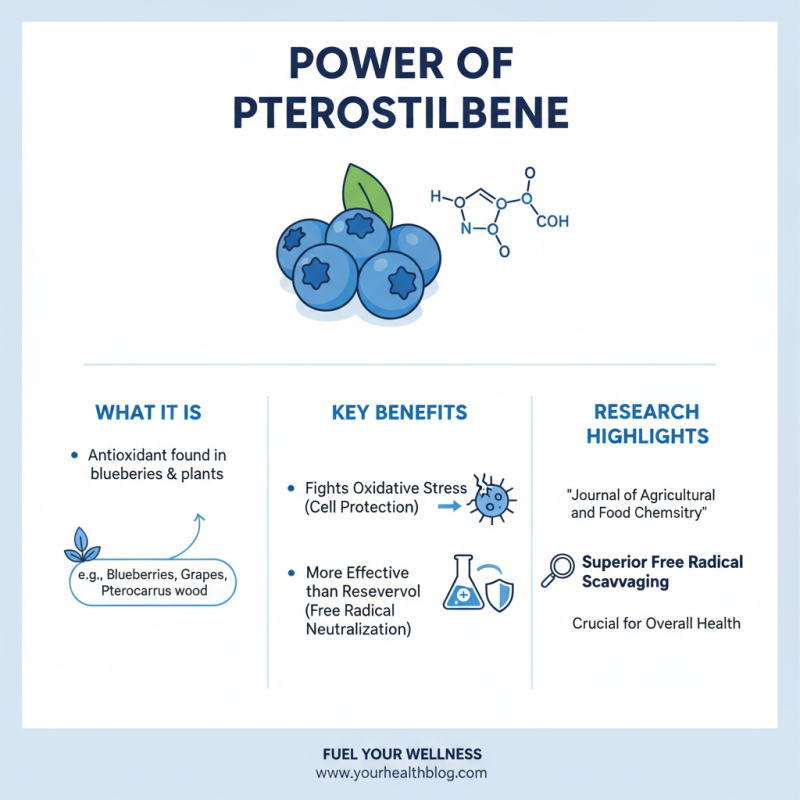 Top 10 Benefits of Pterostilbene Powder for Health and Wellness?