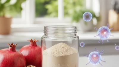 What are the Benefits of Urolithin A Powder for Health?