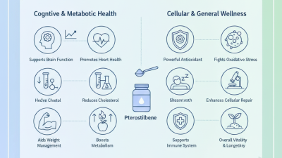 Top 10 Benefits of Pterostilbene Powder for Health and Wellness?