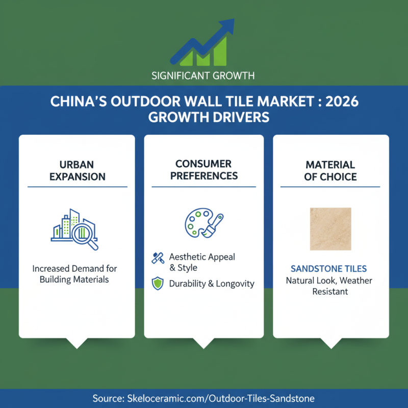 Top 5 High-Quality China Outdoor Wall Tiles Company in 2026?