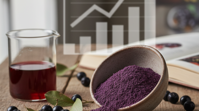 Why You Should Choose the Best High Quality Aronia Powder Suppliers?