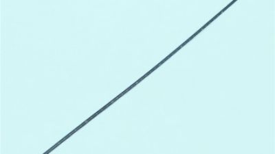 Urethral access.jpg