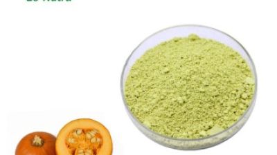 Pumpkin-Seed-Protein-Powder.jpg