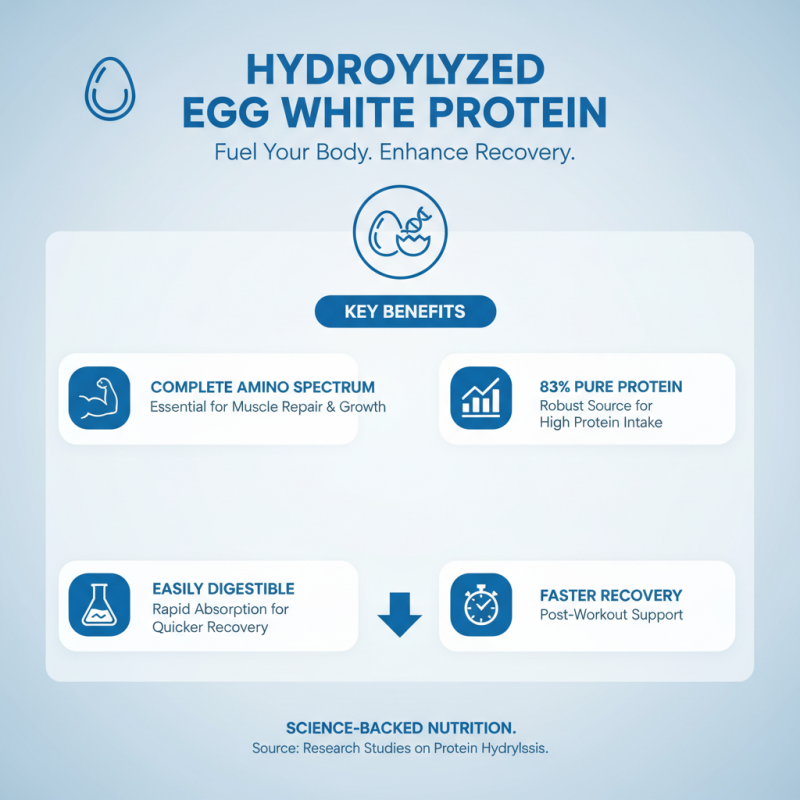 What are the Benefits of Hydrolyzed Egg White Protein?
