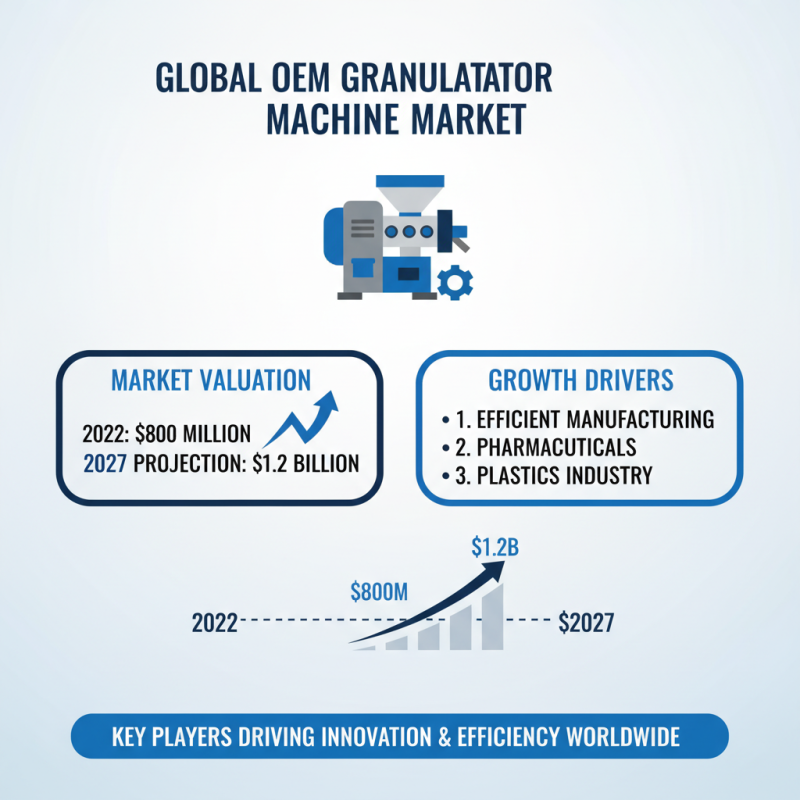 Top 10 Famous OEM Granulator Machine Factories You Should Know?