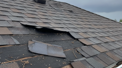 How to Identify and Repair Wind Damaged Shingles?