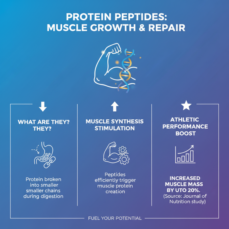 What are the Benefits of Protein Peptides for Health and Fitness?