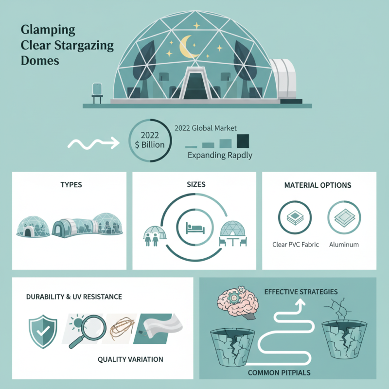 What is Wholesale Clear Domes Buying Guide for Products?
