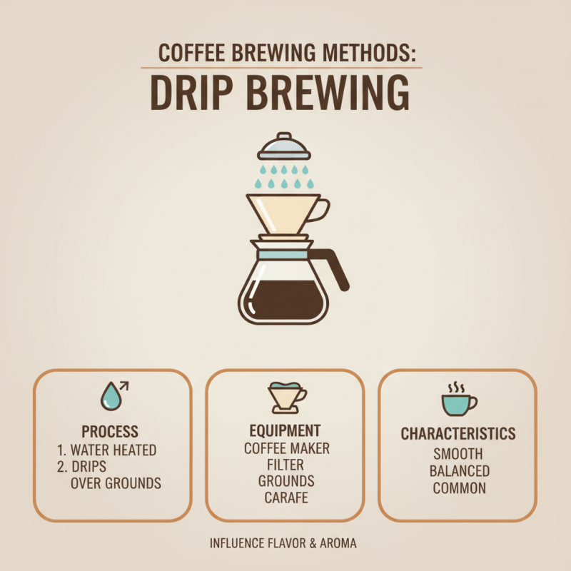 What Are the Different Types of Coffee and Their Benefits?