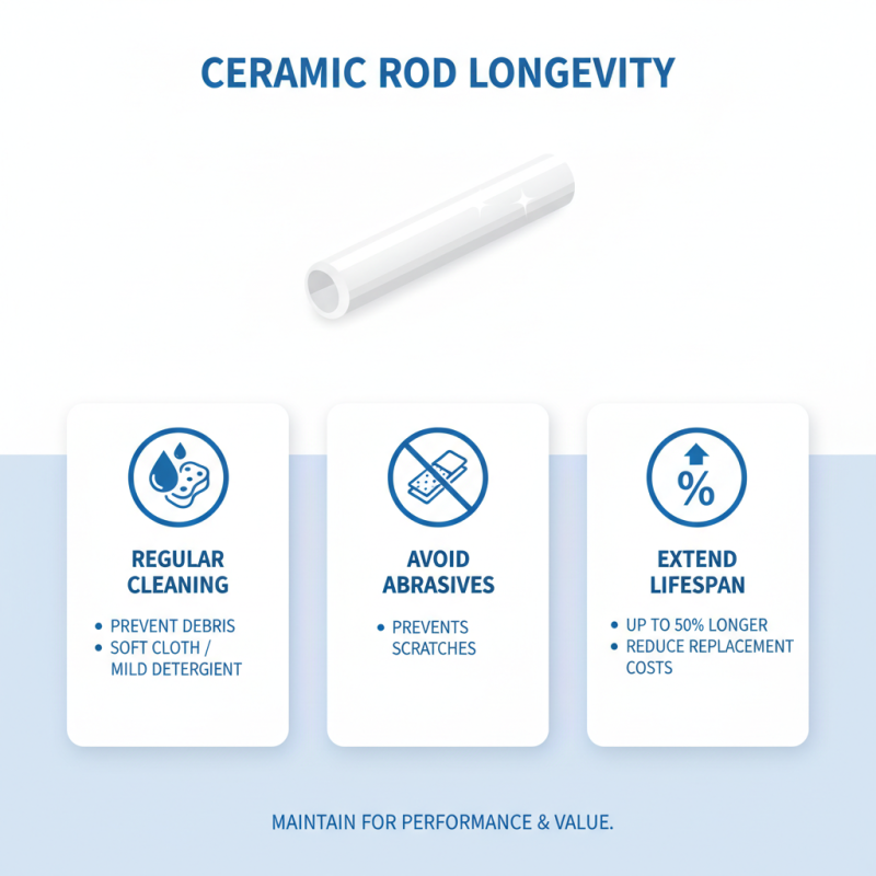 How to Choose the Best Ceramic Rod for Your Needs?