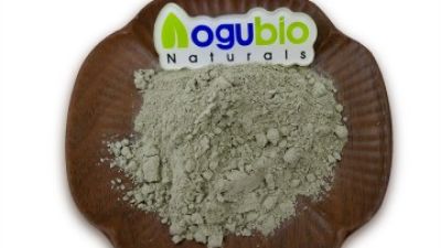 aogebio Ellagic Acid Powder