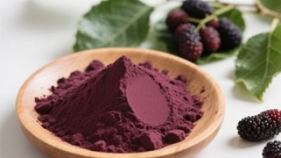 Organic Mulberry Powder Extract 1.jpg