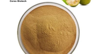 Fructus Momordicae Extract.jpg