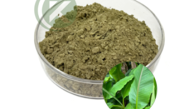 Banaba Leaf Extract Corosolic Acid Powder.png