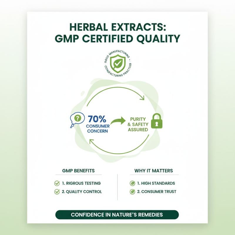 Why Choose GMP Certified Herbal Extracts for Your Health?