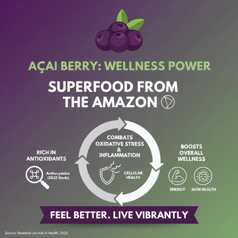 How to Choose the Best Wholesale Acai Berry Powder Products for You?