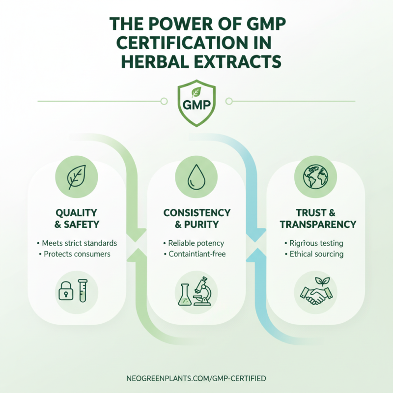 Why Choose GMP Certified Herbal Extracts for Your Health?