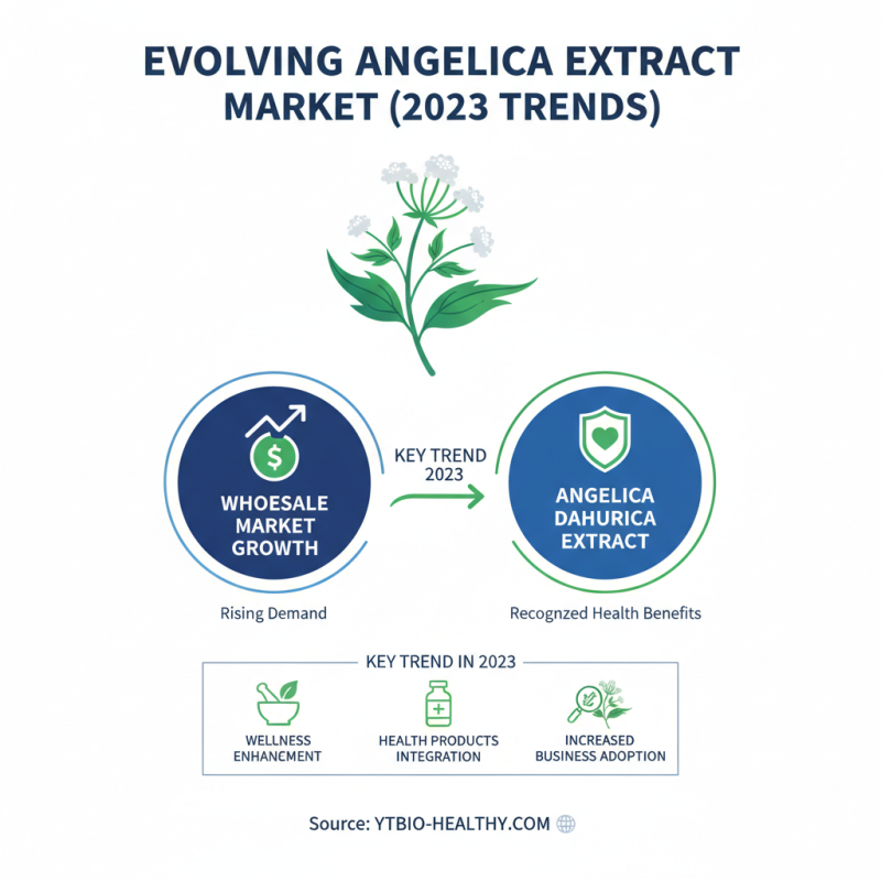 Best Wholesale Buy Angelica Extract for Health and Wellness Benefits?