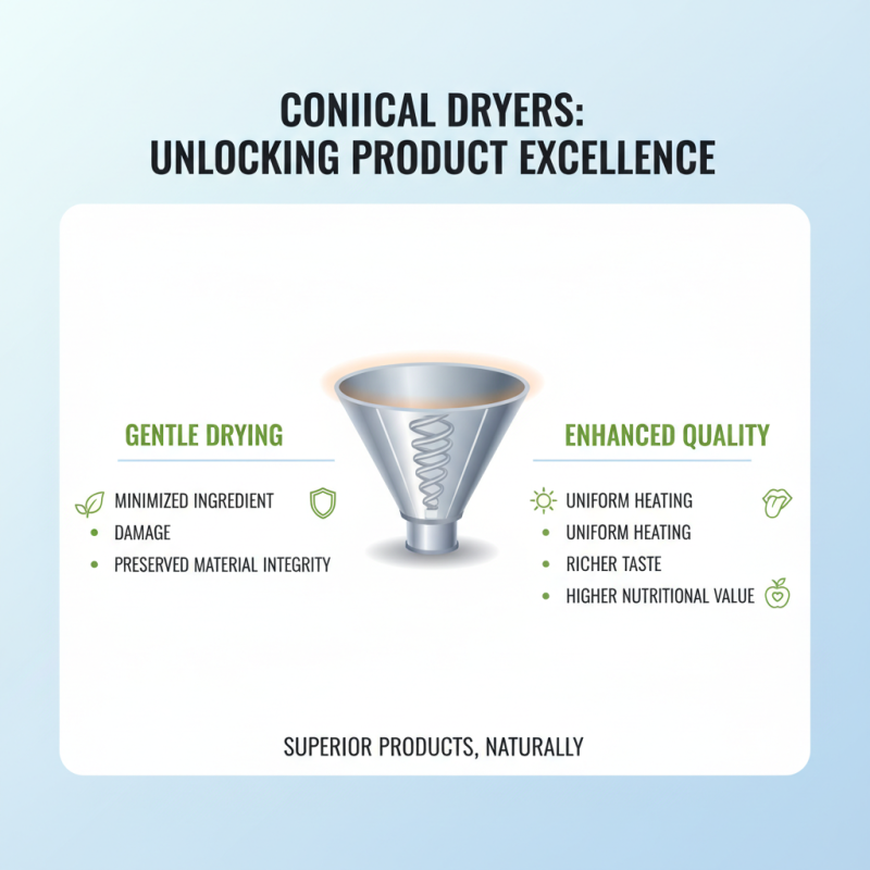 Top 10 Benefits of Using a Conical Dryer for Your Process?