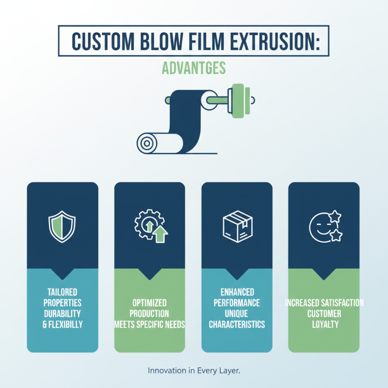 What is High Quality Custom Blow Film Extrusion Machine Products?