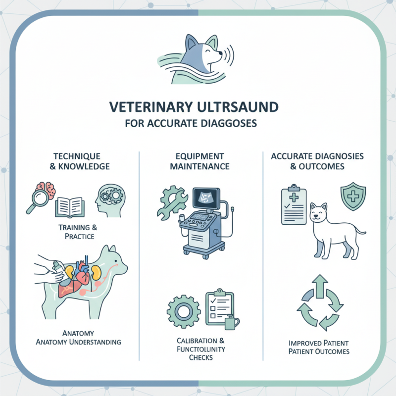 Veterinary Ultrasound Machine Tips for Accurate Diagnoses?