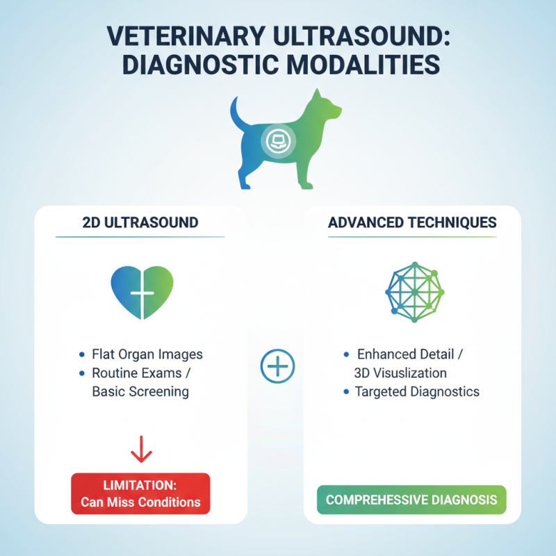 Veterinary Ultrasound Machine Tips for Accurate Diagnoses?
