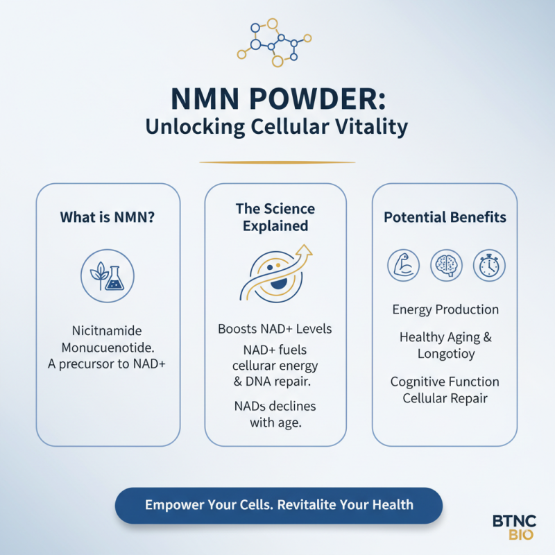 What Is NMN Powder and How Does It Benefit Your Health?